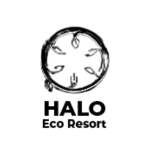 62